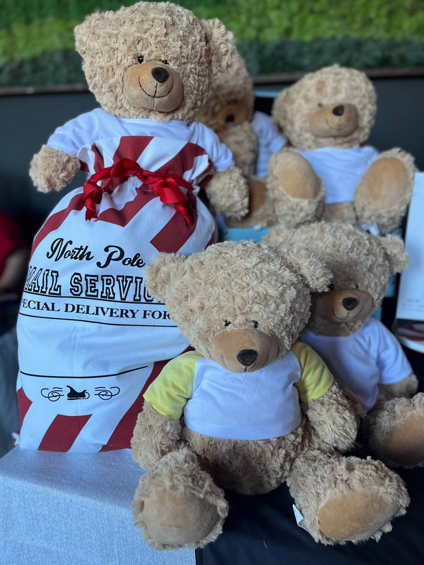 Cooper Teddy bear with Custom T-shirt.